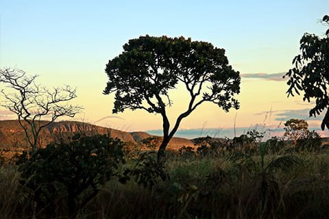 Brasil Amado Soluções Ambientais e Climáticas