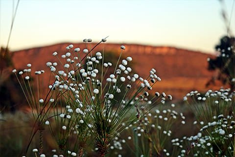 Brasil Amado Soluções Ambientais e Climáticas