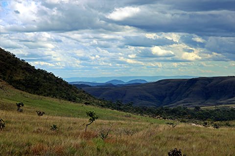 Brasil Amado Soluções Ambientais e Climáticas