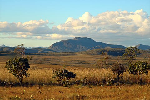 Brasil Amado Soluções Ambientais e Climáticas