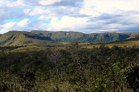 Brasil Amado Soluções Ambientais e Climáticas