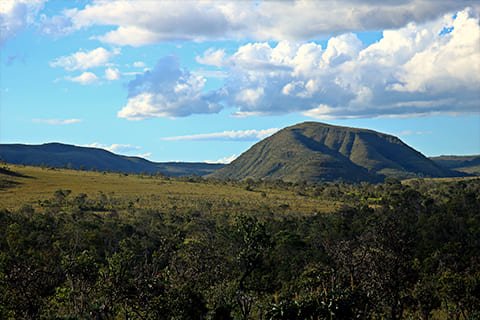 Brasil Amado Soluções Ambientais e Climáticas